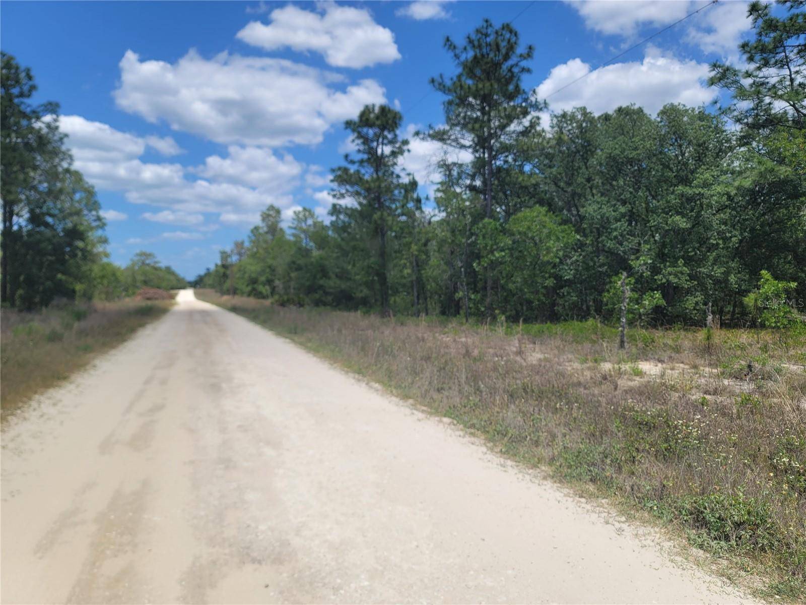 Dunnellon, FL 34432,Lot 6 SW 121ST TER