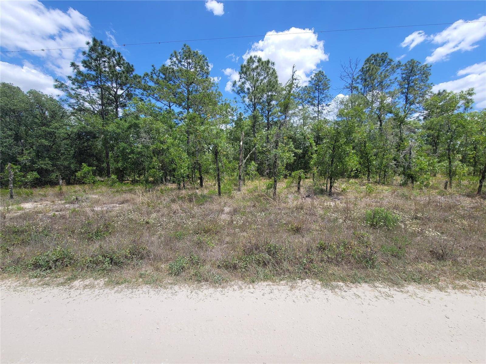 Dunnellon, FL 34432,Lot 6 SW 121ST TER