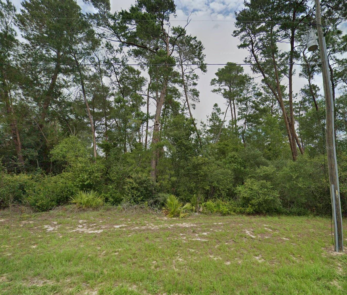 Ocala, FL 34473,0 SW 147TH PLACE RD