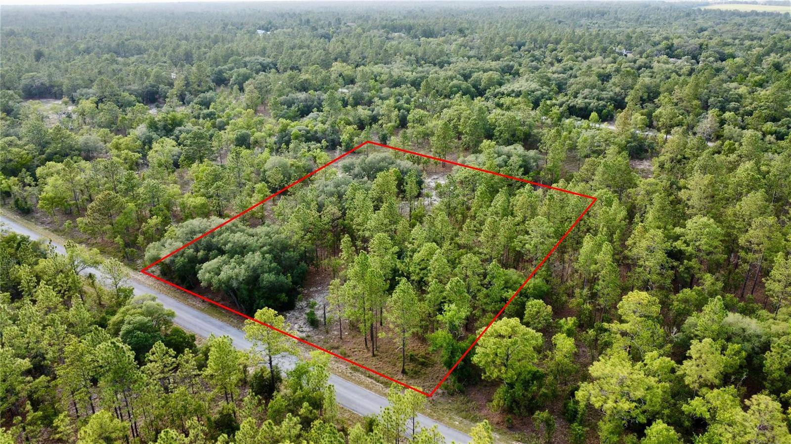 Dunnellon, FL 34431,TBD SW MINEOLA LN