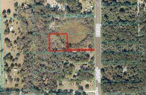 Citra, FL 32113,00 N US HWY 301