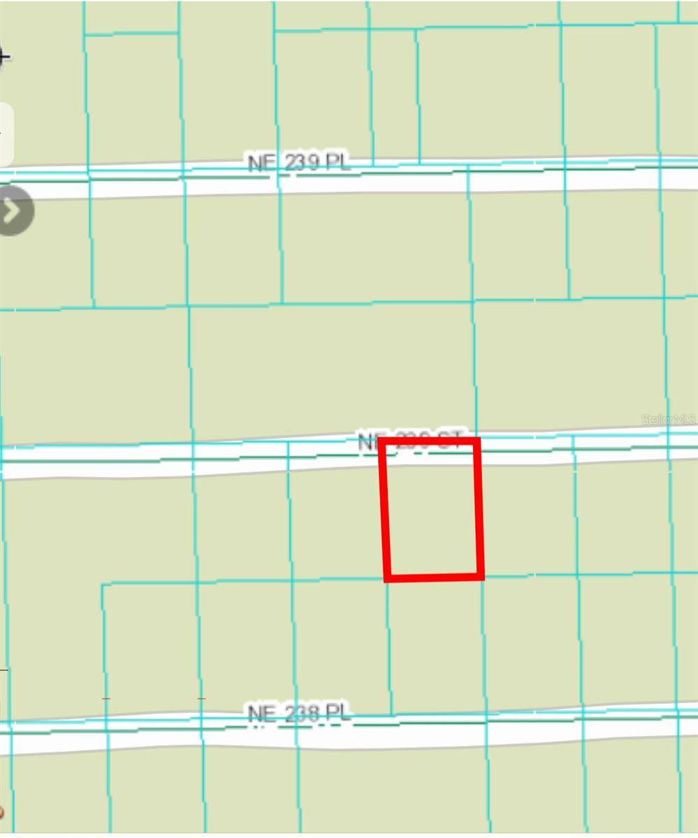 Fort Mc Coy, FL 32134,15380 NE 239TH ST #Lot 25