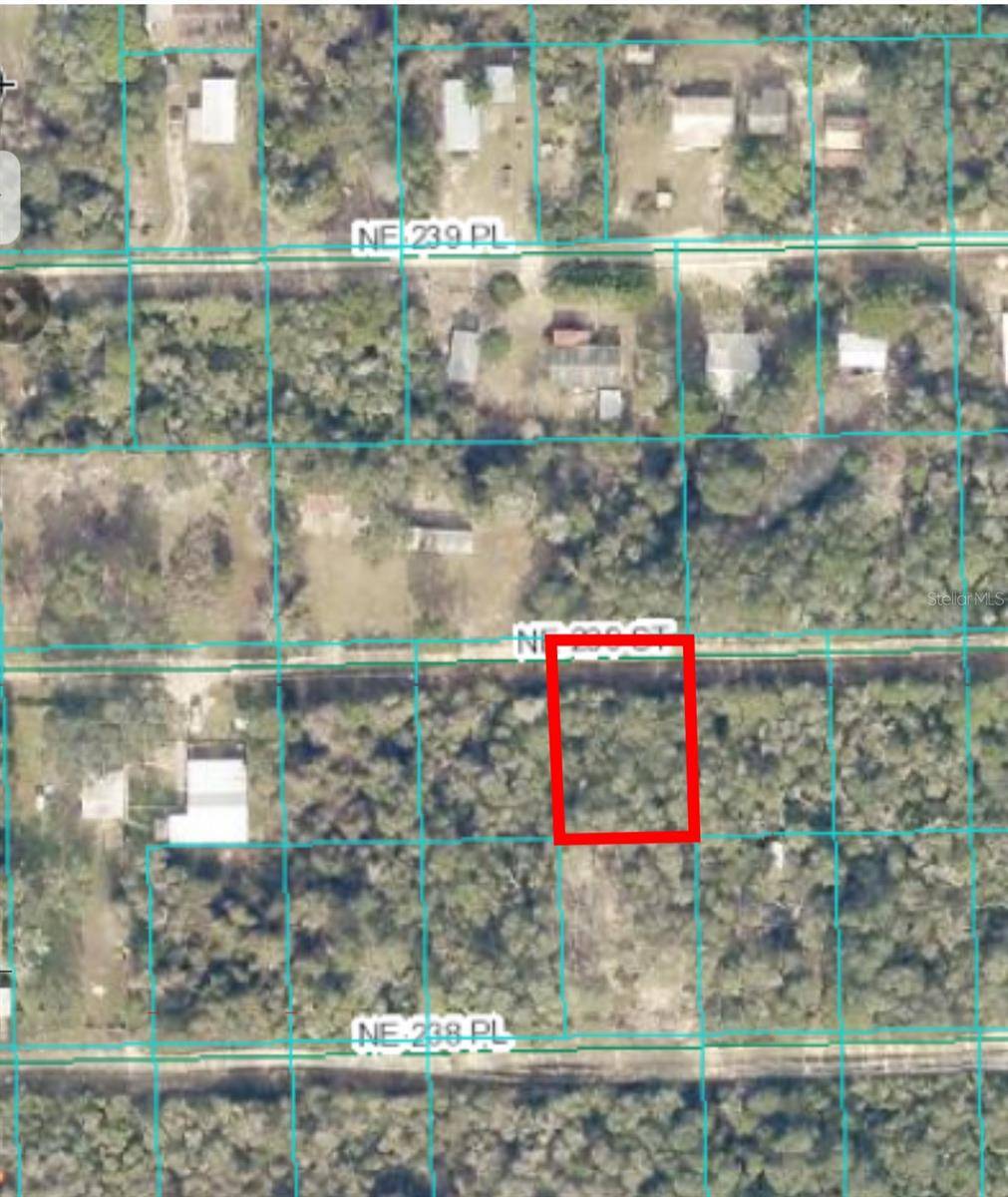 Fort Mc Coy, FL 32134,15380 NE 239TH ST #Lot 25