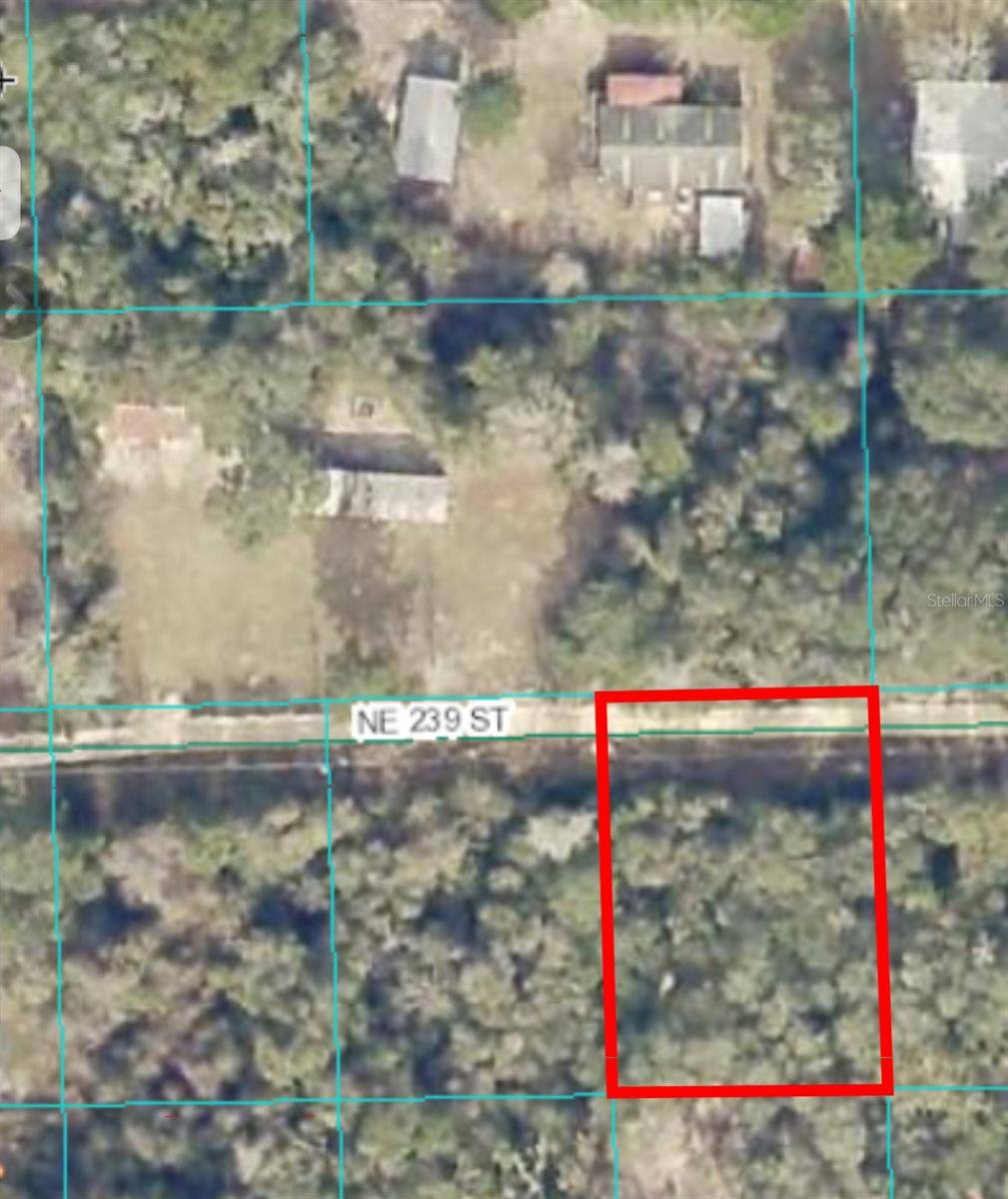 Fort Mc Coy, FL 32134,15380 NE 239TH ST #Lot 25