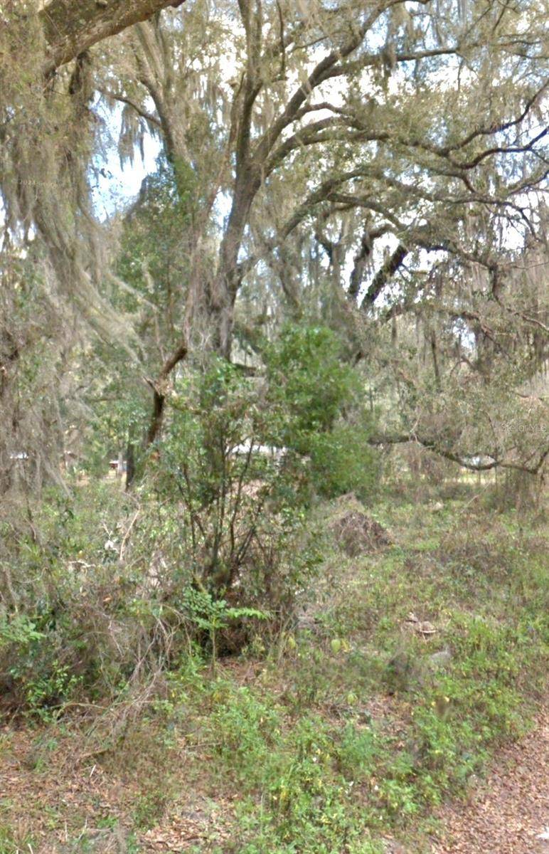 Citra, FL 32113,000 NE 192ND PL
