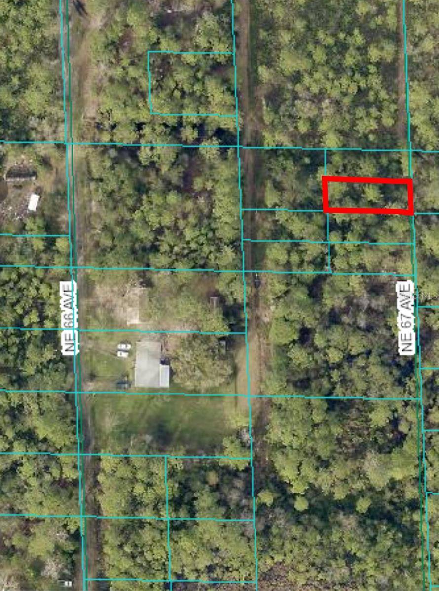 Citra, FL 32113,00 NE 67TH AVE #Lots 63 & 64