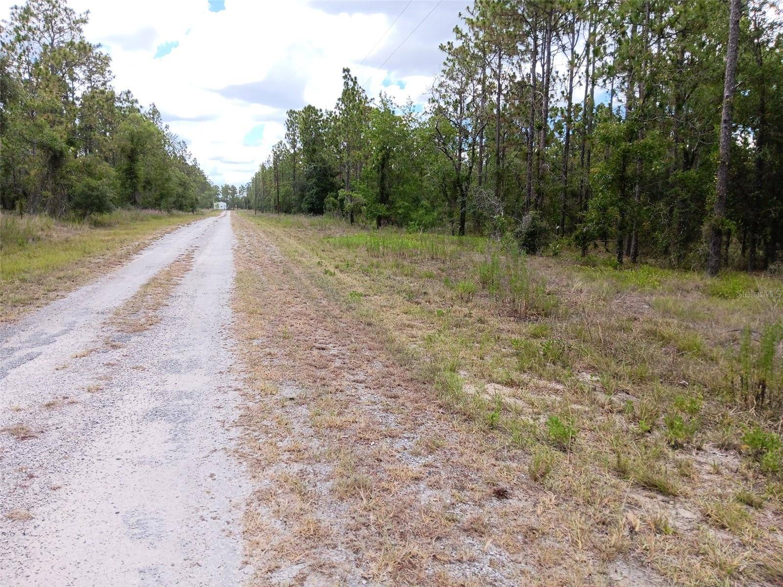 Dunnellon, FL 34431,00 SE 138TH AVE