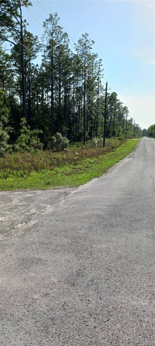 Dunnellon, FL 34431,TBD SW TREE TOP RD