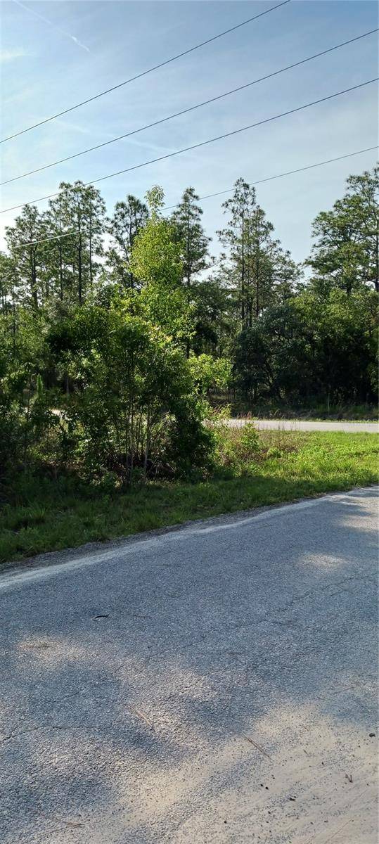 Dunnellon, FL 34431,TBD SW TREE TOP RD