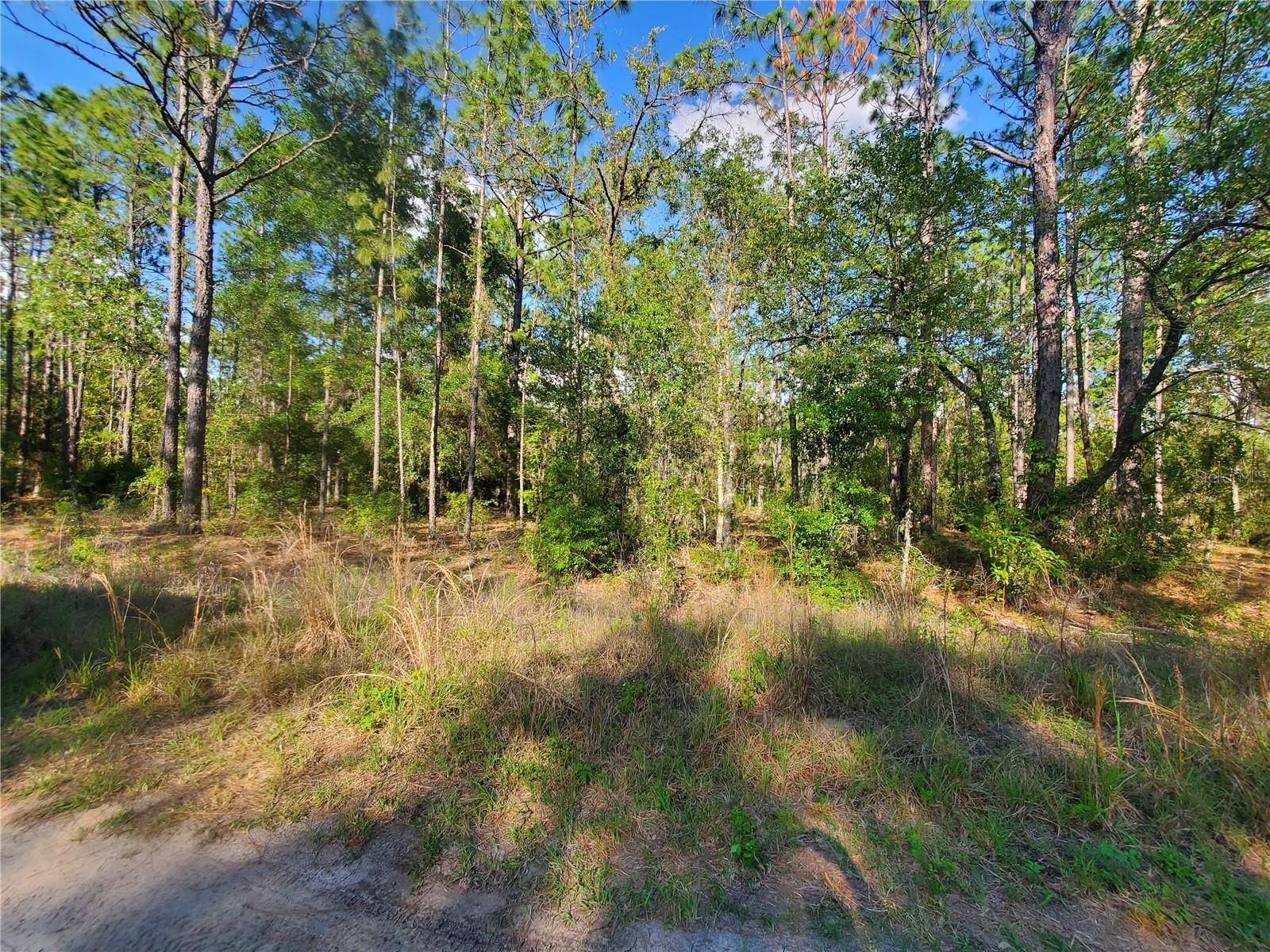 Ocala, FL 34481,TBD SW 159 AVE