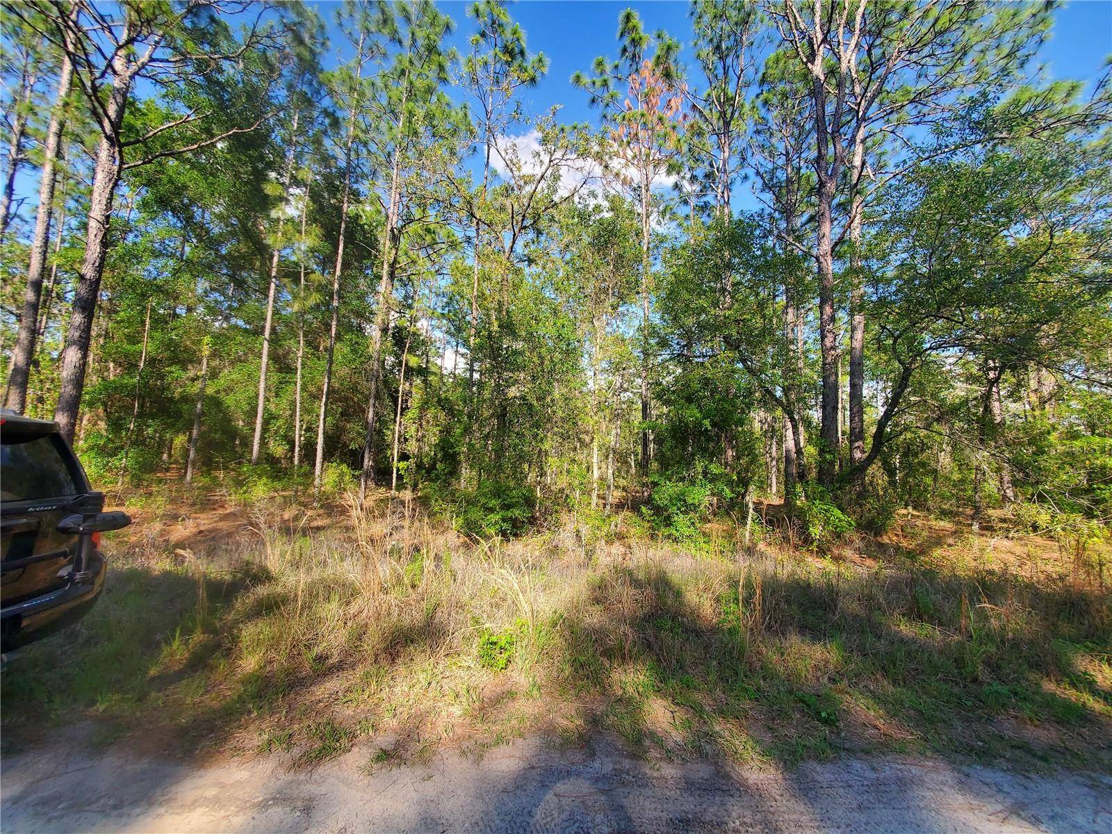 Ocala, FL 34481,TBD SW 159 AVE