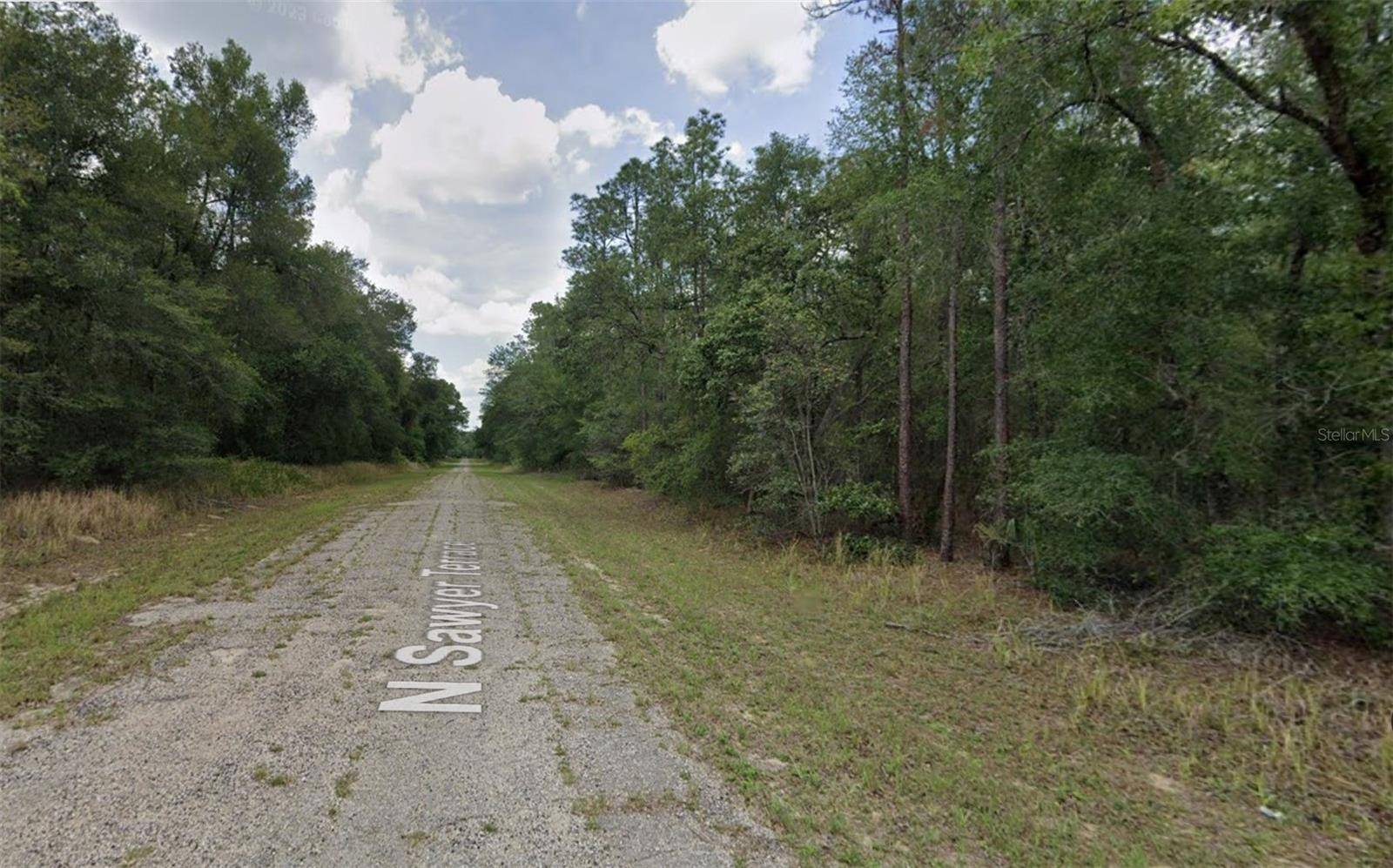 Citrus Springs, FL 34433,8732 N SAWYER TER