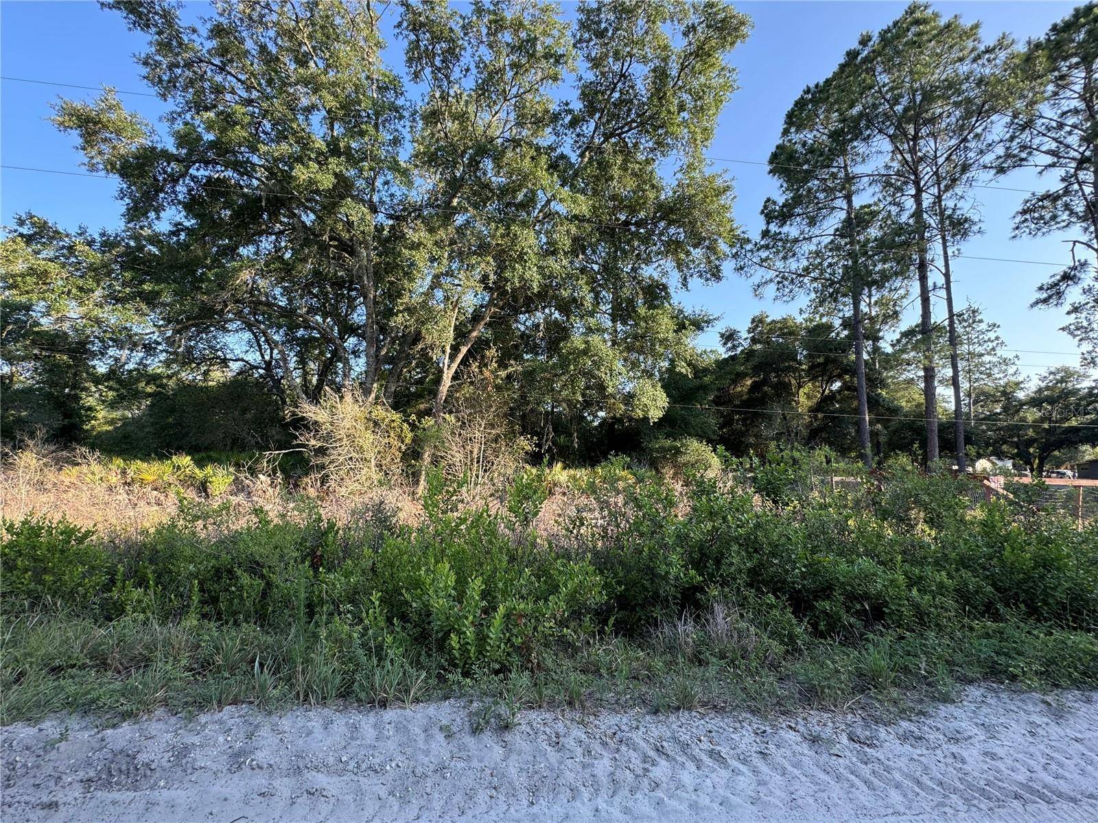 Dunnellon, FL 34432,TBD SW 158TH LN