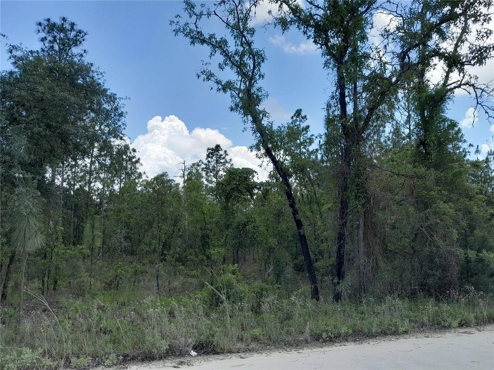 Morriston, FL 32668,14440 SE 21ST PL