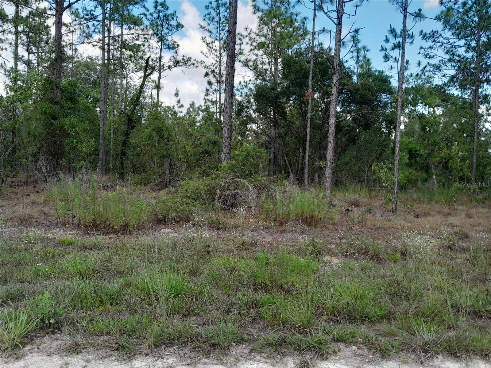 Morriston, FL 32668,14440 SE 21ST PL