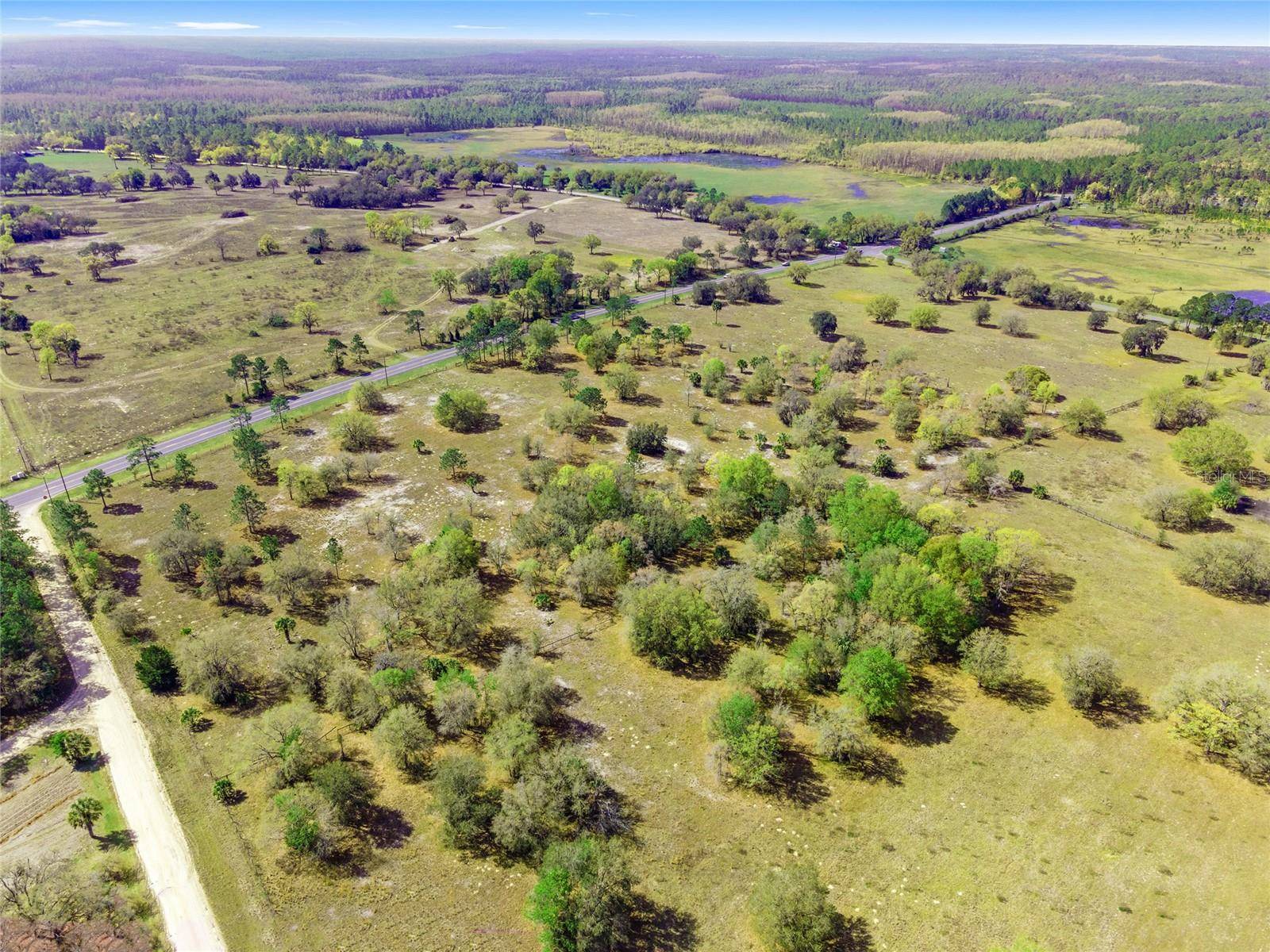 Morriston, FL 32668,TBD SE STATE RD 121