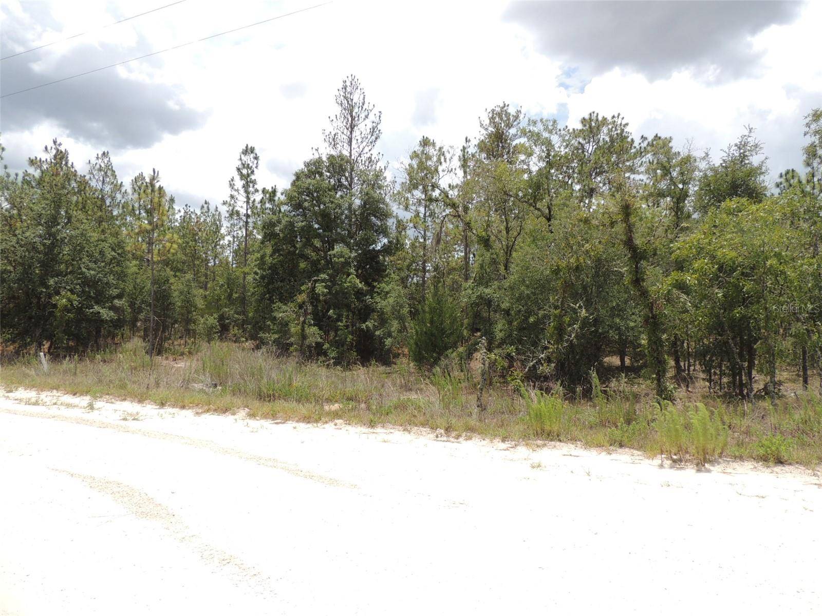 Williston, FL 32696,14670 SE 4TH ST