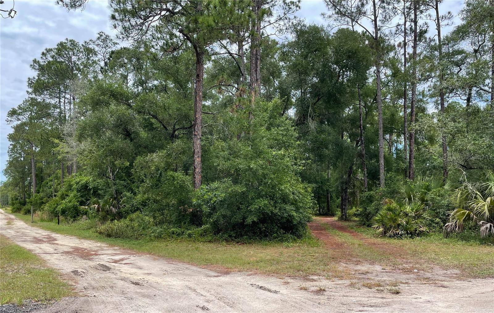 Silver Springs, FL 34488,NE 115TH AVE