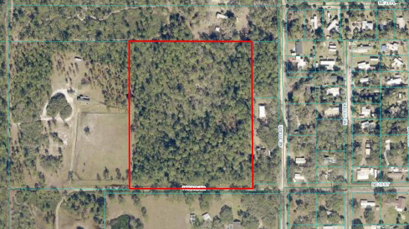 Silver Springs, FL 34488,NE 115TH AVE