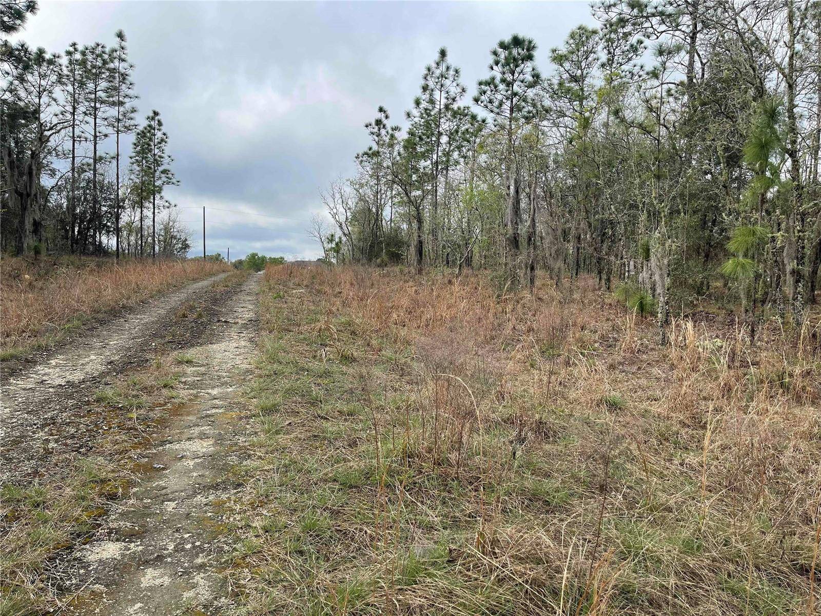 Williston, FL 32696,Lot 5 NE 156 AVE