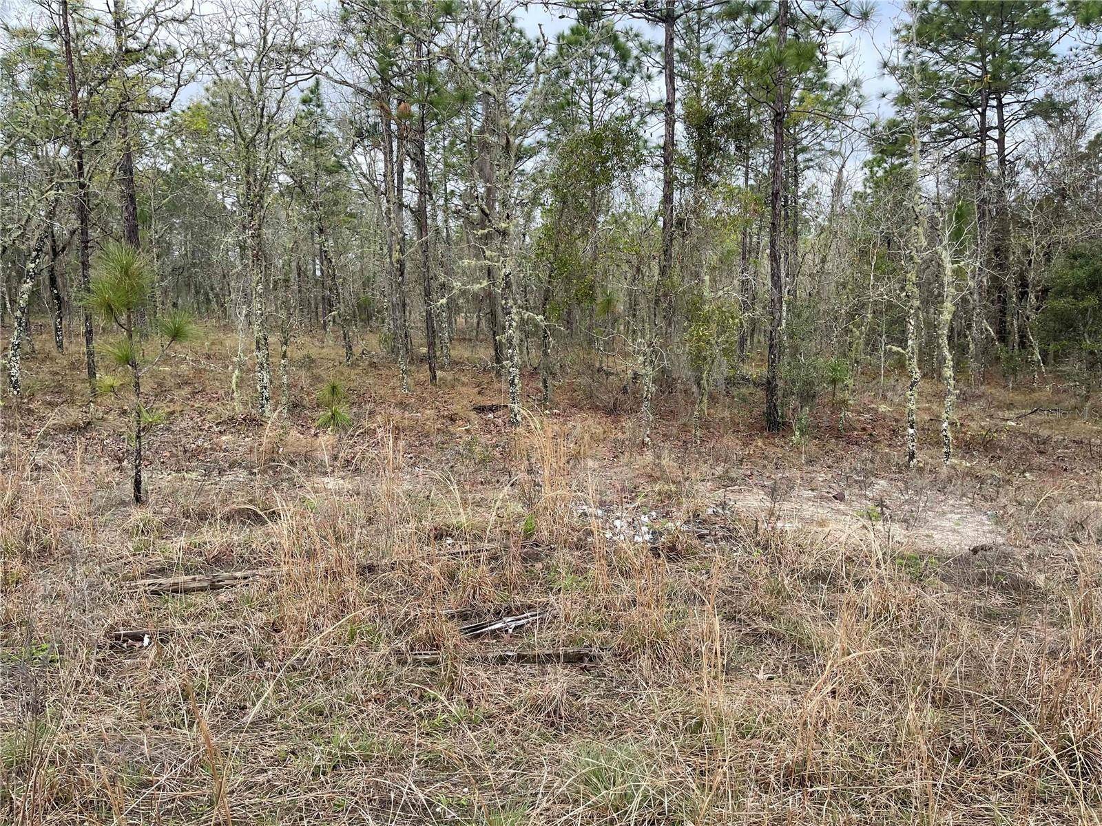 Williston, FL 32696,Lot 5 NE 156 AVE