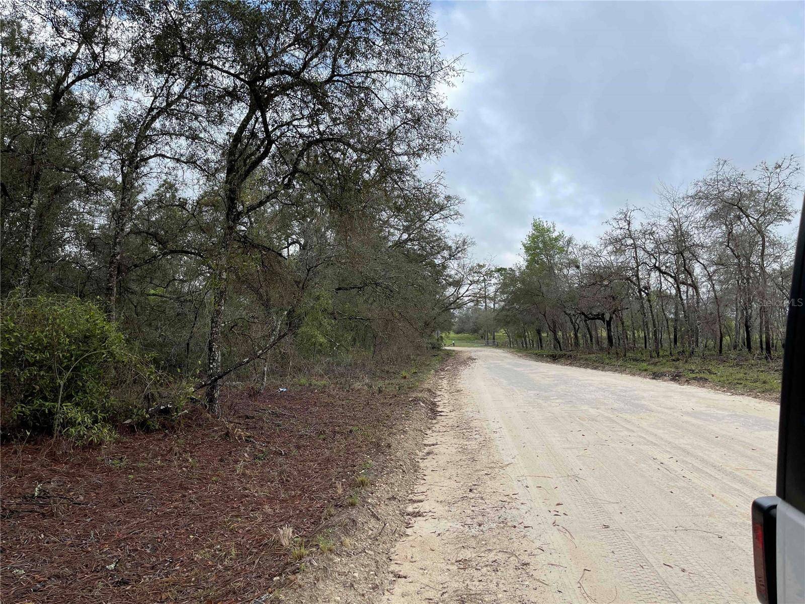 Williston, FL 32696,Lot 8 NE 120 AVE