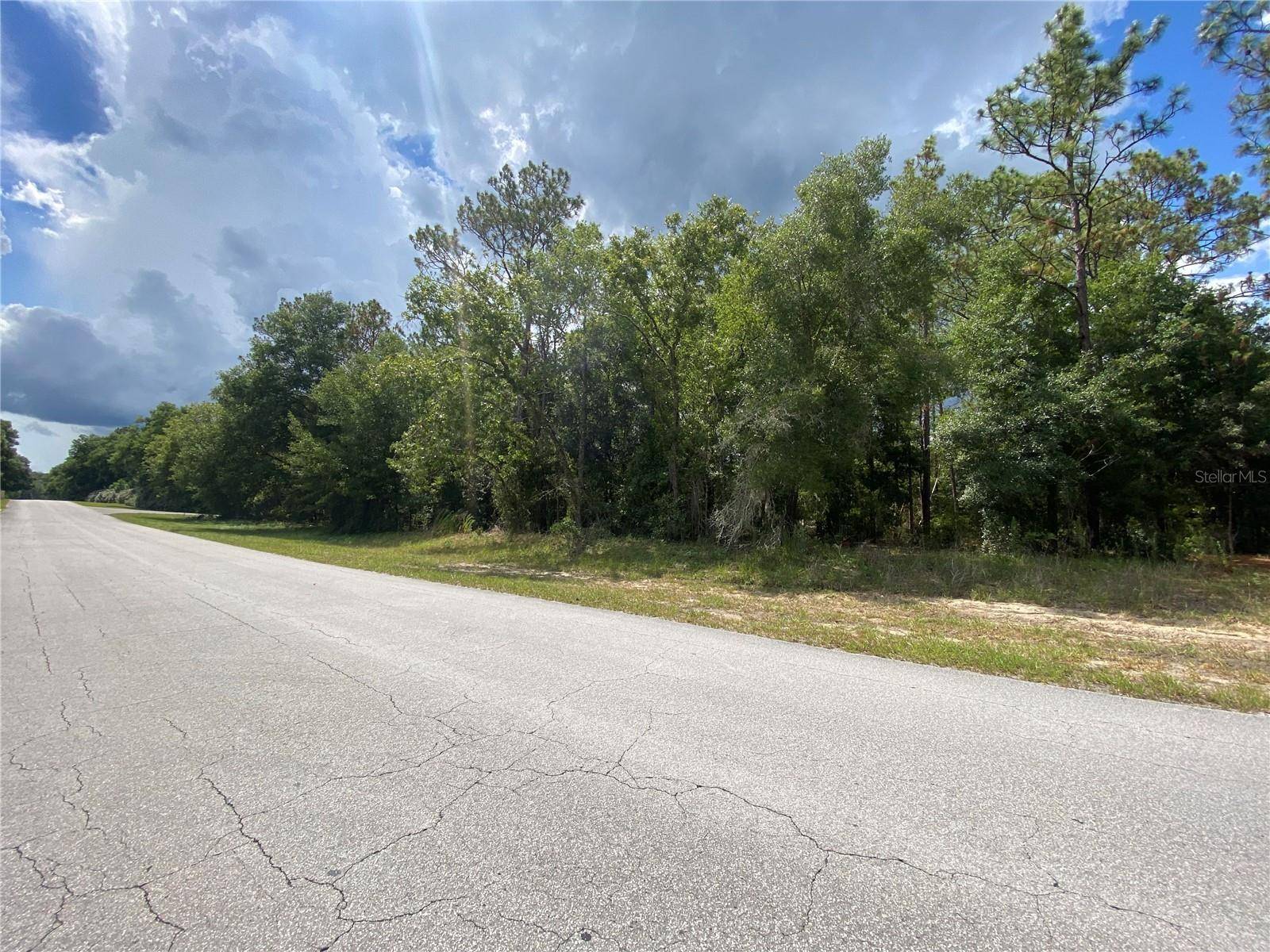 Dunnellon, FL 34431,LOT 57 SW 203 AVE