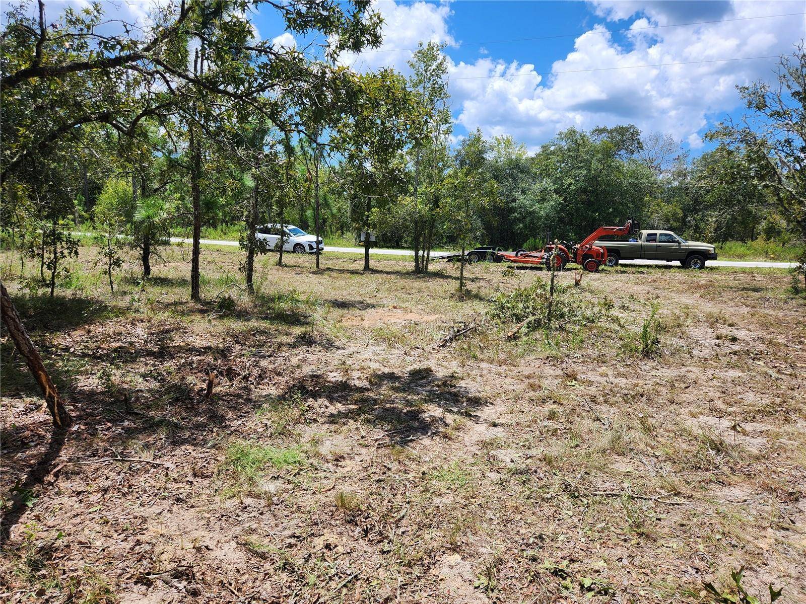 Dunnellon, FL 34431,SW VIBURNUM RD