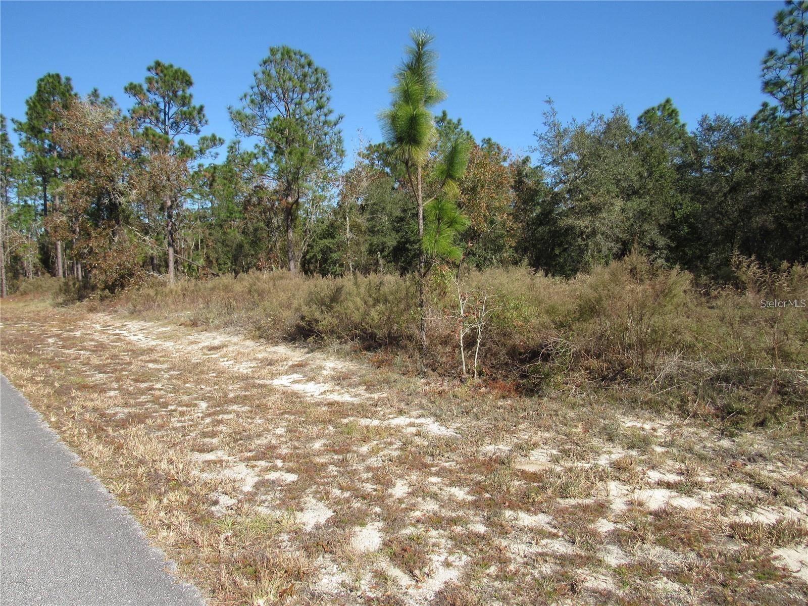 Dunnellon, FL 34431,0000 SW SANDS POINT LOT 38 AVE