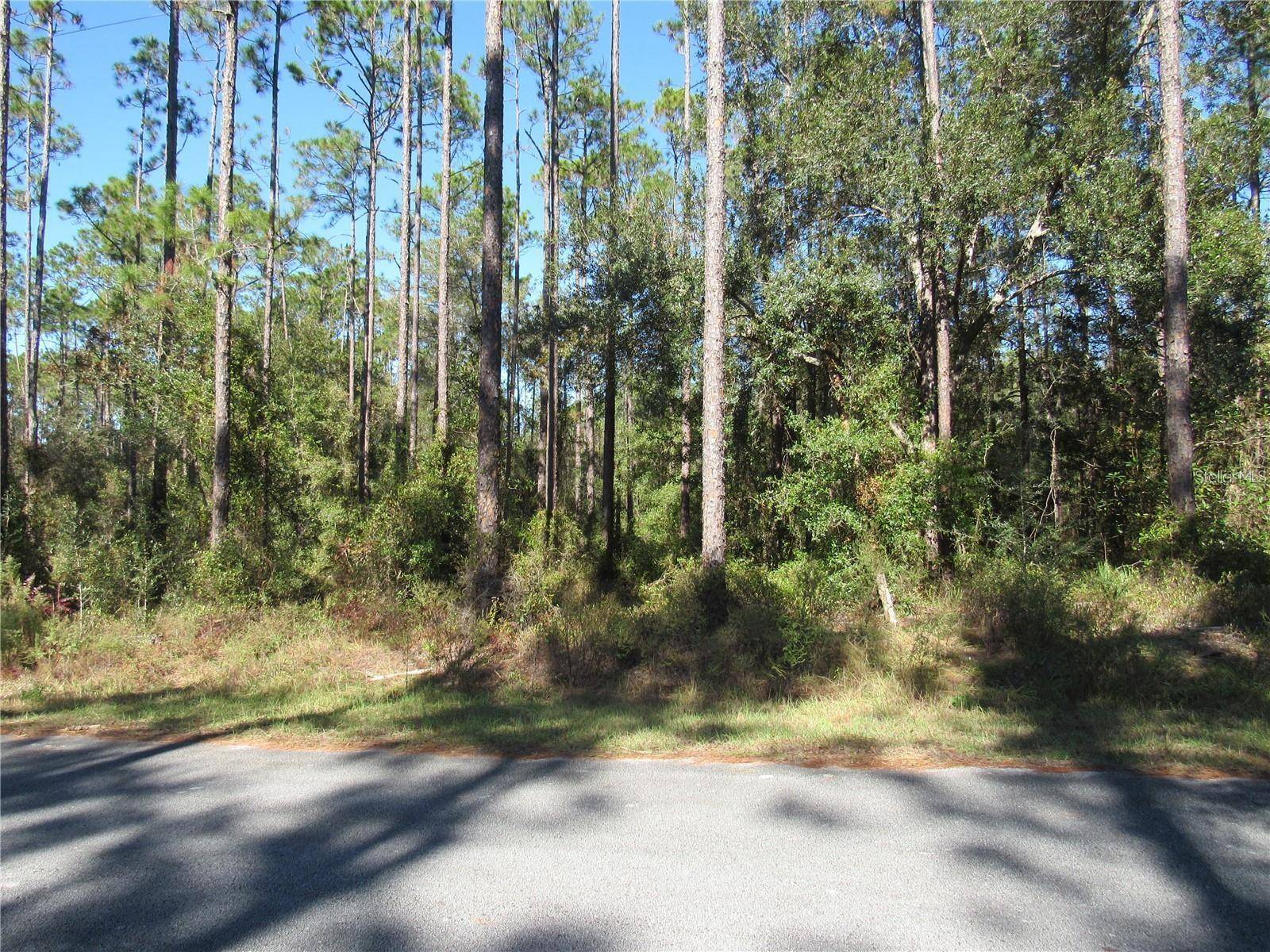Dunnellon, FL 34431,0000 SW NAUTILUS BLVD
