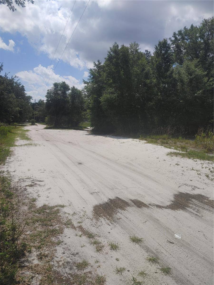 Dunnellon, FL 34432,TBD SW 146TH PL