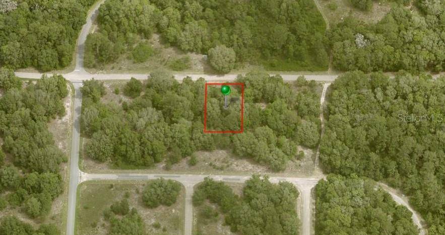 Citrus Springs, FL 34434,876 E NOAH LN