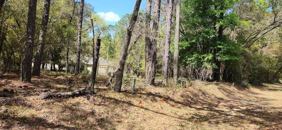 Dunnellon, FL 34432,Lot 11 SW 73 RD LOOP