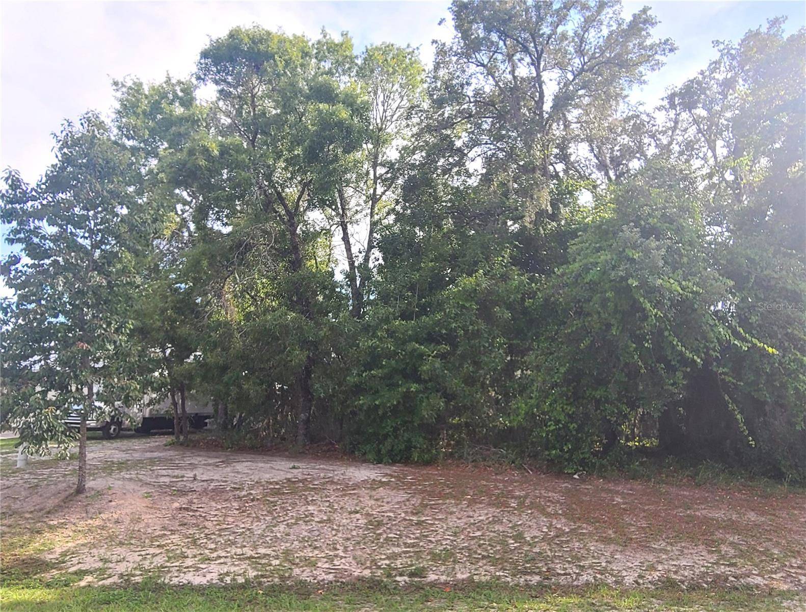 Ocala, FL 34476,00 SW 116TH PLACE RD