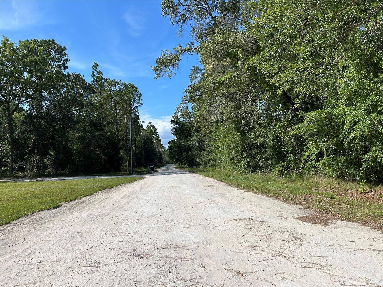 Morriston, FL 32668,TBD SE 140TH AVE