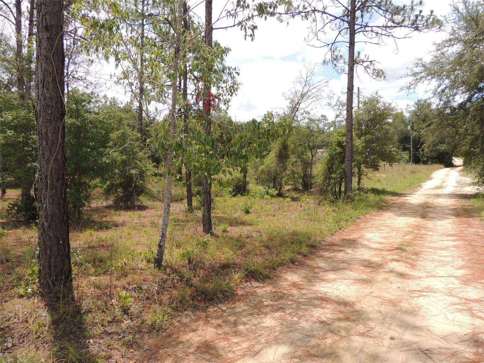 Williston, FL 32696,multiple NE 134TH TER