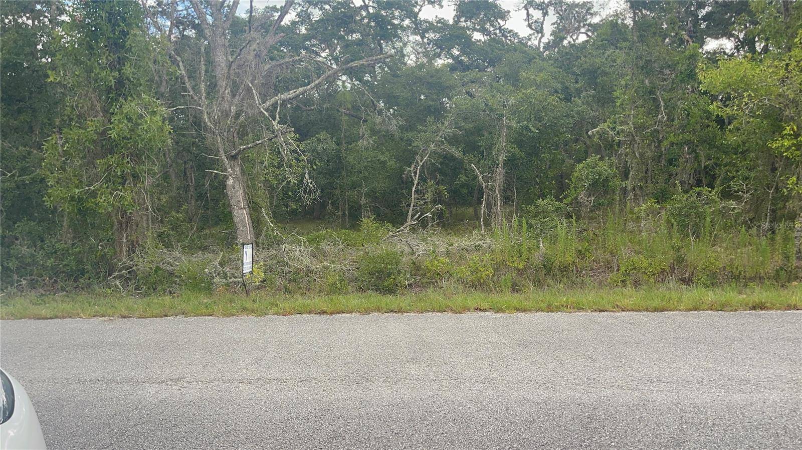 Dunnellon, FL 34431,00000 SW WILLOLW RD