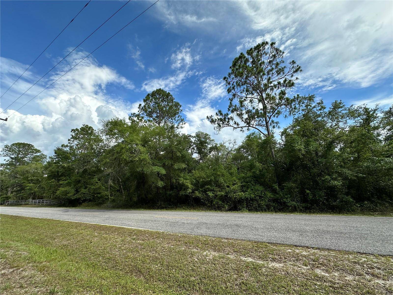 Fort Mc Coy, FL 32134,TBD NE 220TH ST