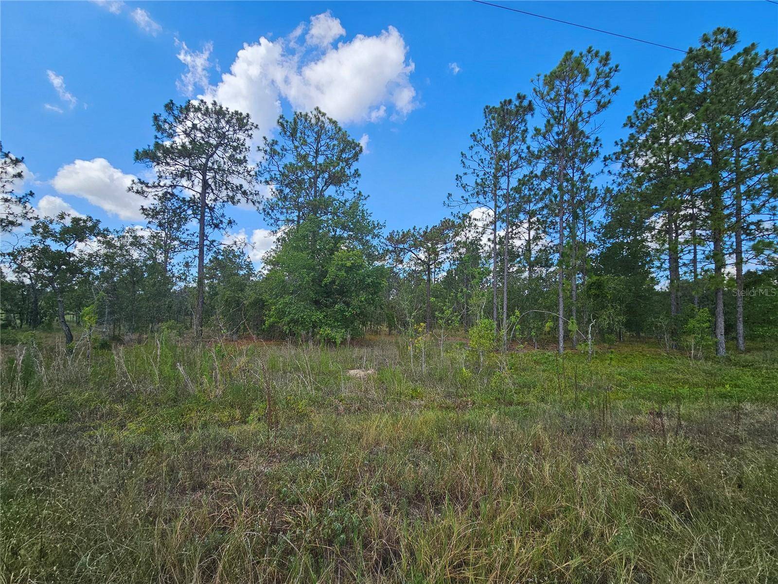 Morriston, FL 32668,SE 73RD LN