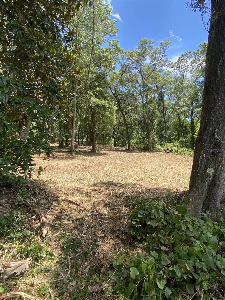 Dunnellon, FL 34431,Lot 163 SW SHOREWOOD DR