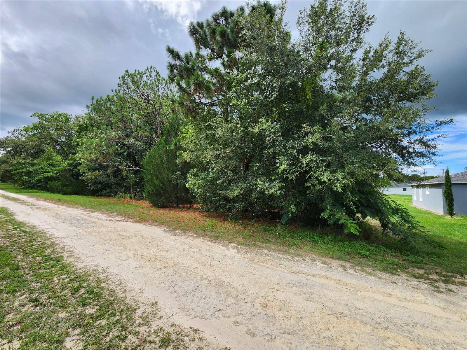 Ocala, FL 34481,TBD SW 29 LN