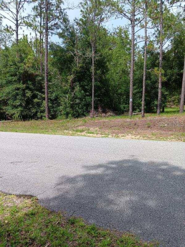 Dunnellon, FL 34431,00 SW 206TH COURT ROAD