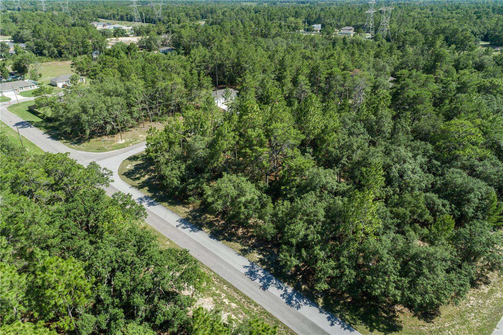 Ocala, FL 34473,TBD SW 153 LANE RD