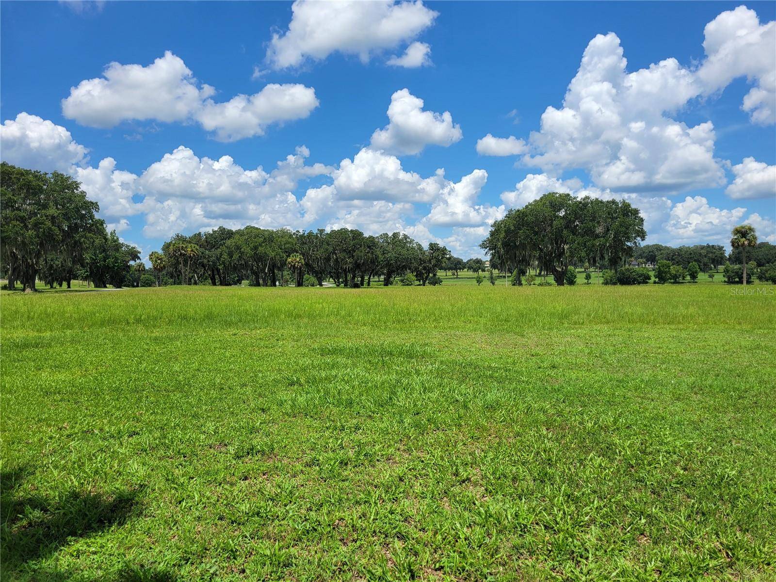 Summerfield, FL 34491,0 SE 61ST TERRACE RD #16