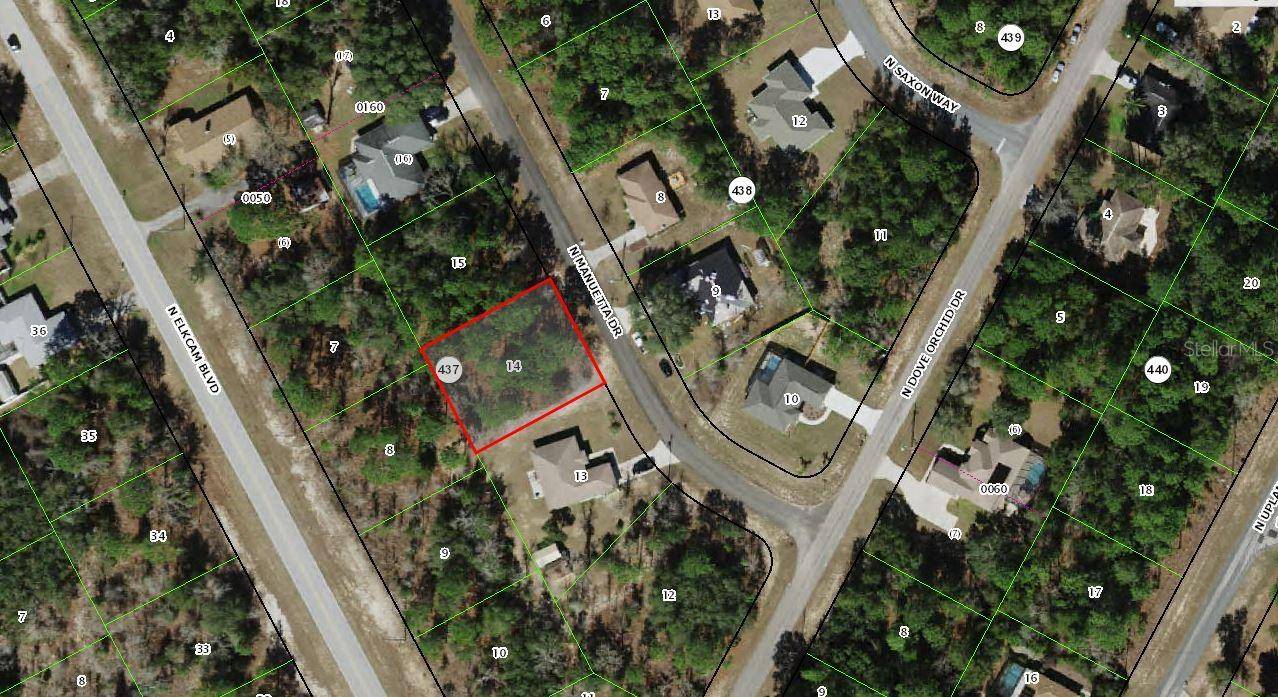 Citrus Springs, FL 34434,8298 N MANUETTA DR