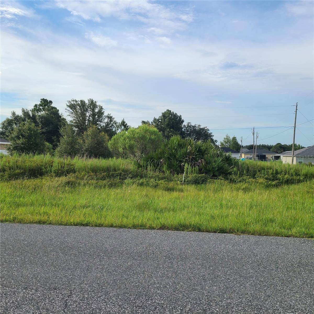 Ocala, FL 34473,00 SW 145TH PLACE RD