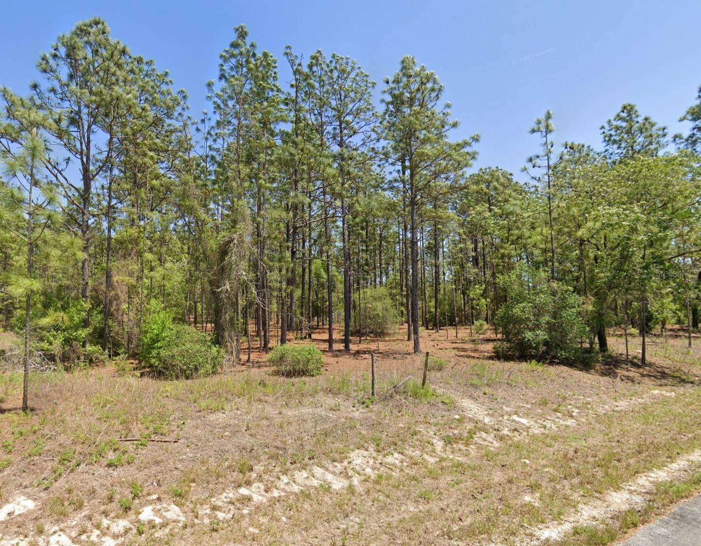 Dunnellon, FL 34431,Lot 8 SW 209TH AVE
