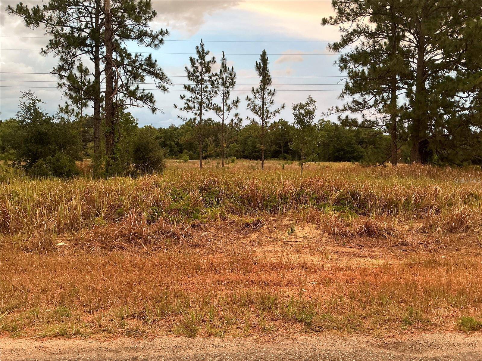 Ocklawaha, FL 32179,TBD SE 115TH PLACE RD