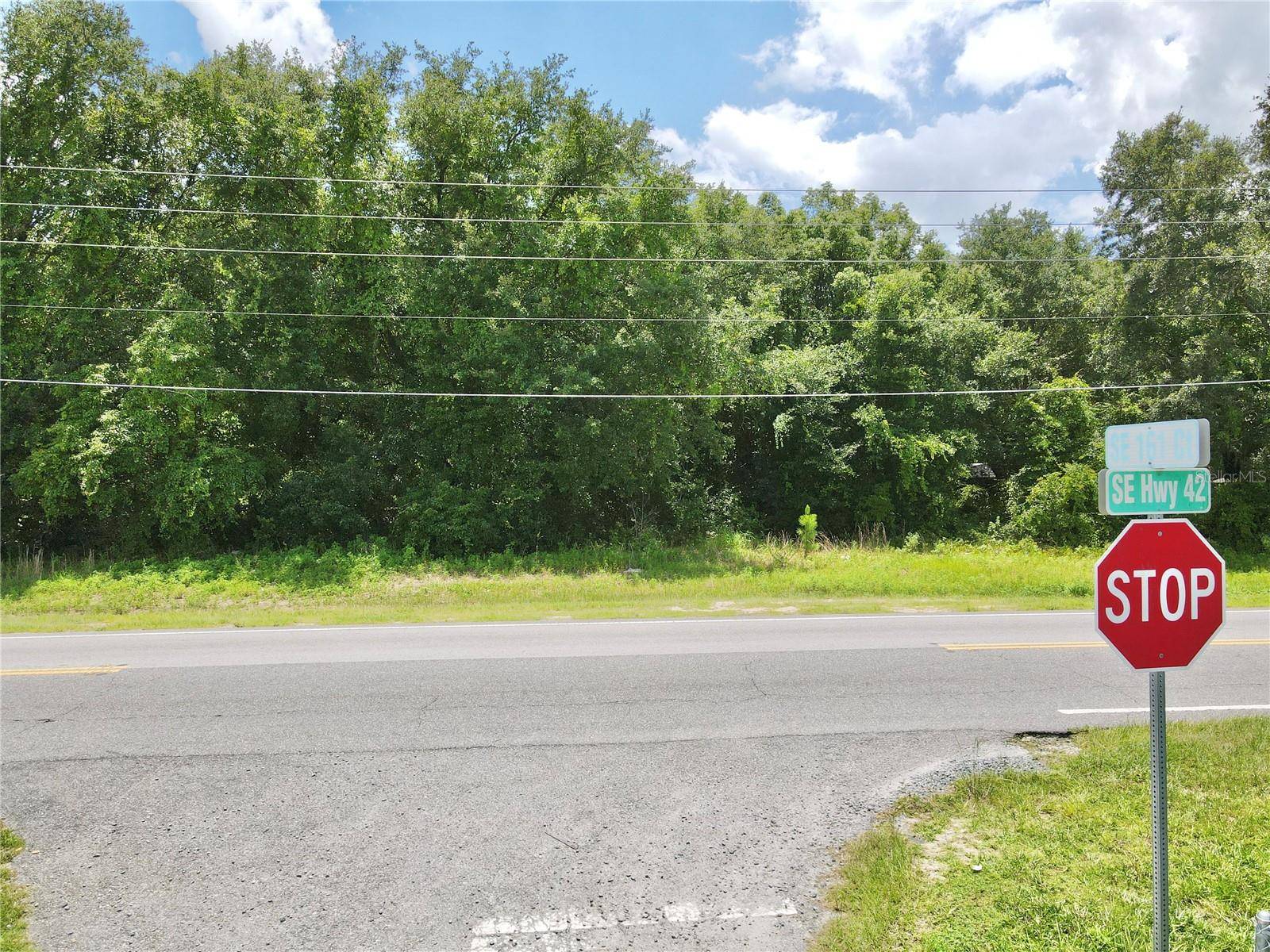 Weirsdale, FL 32195,TBD SE HWY 42