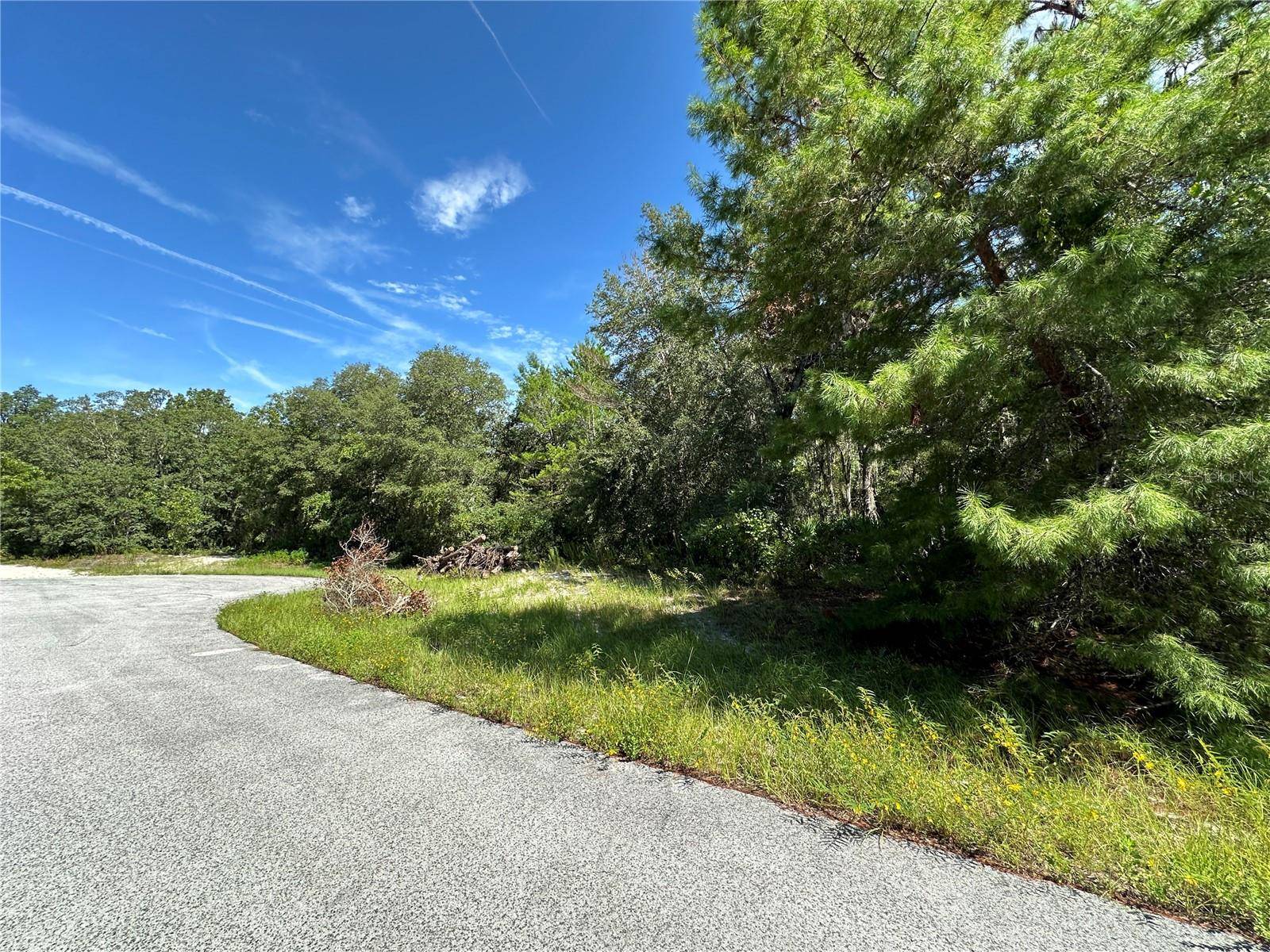 Ocala, FL 34473,0000 SW 174 ST